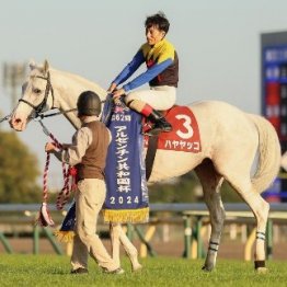 【アルゼンチン共和国杯】伝統のハンデ重賞で最後に笑うのは