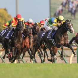 メイショウタバルのスロー逃げは次を見据えた！？