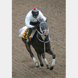 最後までスピード感十分