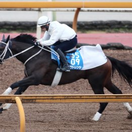 【みやこＳ】動き活発ダブルハートボンドは牡馬相手でも