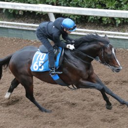 【みやこＳ】動き活発ダブルハートボンドは牡馬相手でも