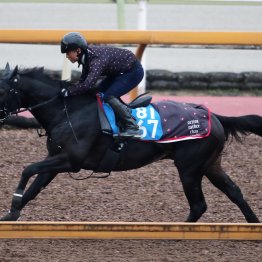 【みやこＳ】動き活発ダブルハートボンドは牡馬相手でも