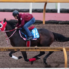 【みやこＳ】動き活発ダブルハートボンドは牡馬相手でも