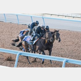 最後まで集中力は途切れなかった