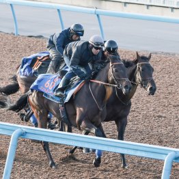 【アルゼンチン共和国杯】調教マル得チェック
