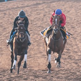 【アルゼンチン共和杯】ホーエリート好調キープ