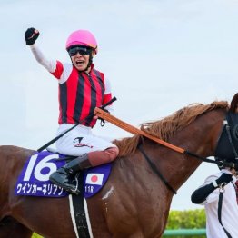 〈117〉ウインカーネリアンでＧⅠスプリンターズＳを制した鹿戸雄一調教師（１）