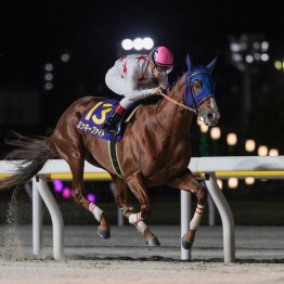 ルメールが今年も指定席まであと２勝