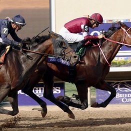  念願のＢＣクラシックを勝利 フォーエバーヤングはイクイノックスの続いて世界一になれるのか