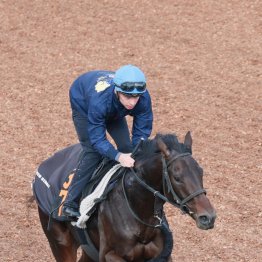 【京王杯２歳Ｓ】加藤士厩舎が今週も シャオママル大駆けムード
