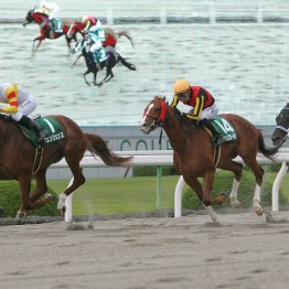 【みやこＳ】データ作戦　過去１０年で６番人気以下が１５頭圏内入り