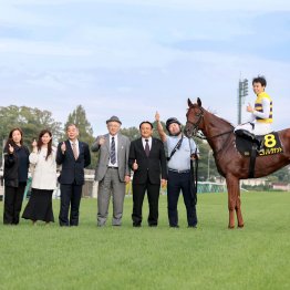 【アルゼンチン共和国杯】５歳を迎えて充実一途 ニシノレヴナント重賞取り