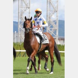 前走Ｖが好内容