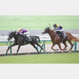 もみじＳは上がり３Ｆ33秒３で②着