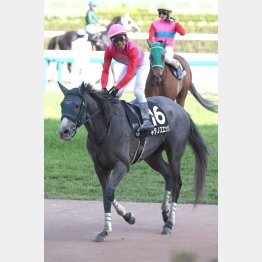 先行激化で出番あり