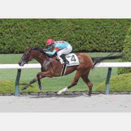 前走が圧巻だった