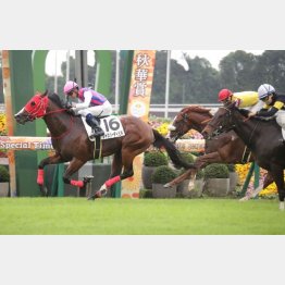 スピードの絶対値が違う