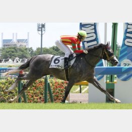 新馬勝ちの東京で快挙達成を願う