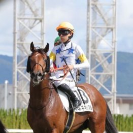 【大谷の土曜競馬コラム・京王杯２歳Ｓ】