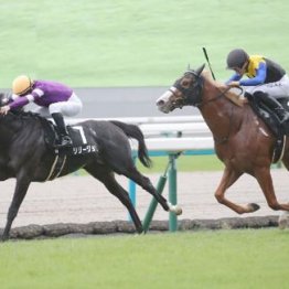 【武田の土曜競馬コラム・京王杯２歳Ｓ】