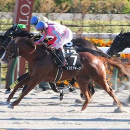 【橘の土曜競馬コラム・室町Ｓ】