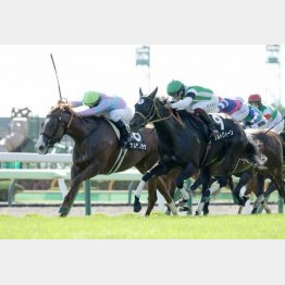 ＴＶｈ杯は頭差②着