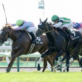 【福島本紙・市川の土曜福島11Ｒ】