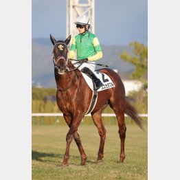 得意舞台で粘り込む