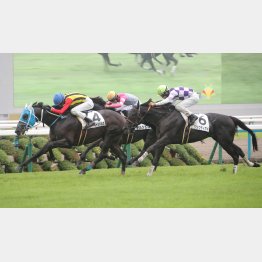 前走はメンバー最速の上がり34秒４で②着