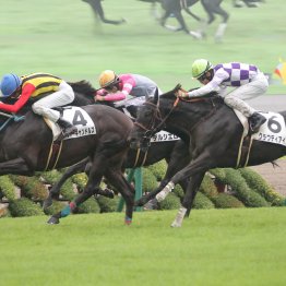 【大阪本紙・弘中の土曜京都12Ｒ】