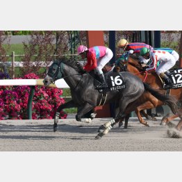 このコースで３勝クラスを卒業