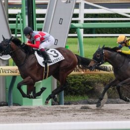 【東京本紙・外山の土曜東京９Ｒ】