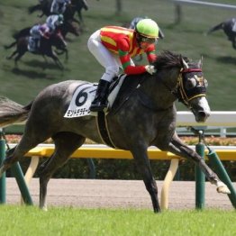 【東京本紙・外山の土曜東京10Ｒ】