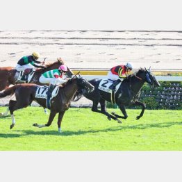 この舞台で現級②着