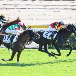 【東京本紙・外山の土曜東京12Ｒ】