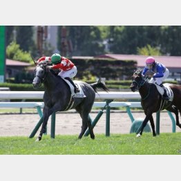札幌の未勝利勝ちは先行策だったが・・・
