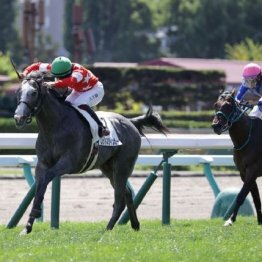 【東京本紙・外山の京王杯２歳Ｓ】