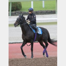 状態も右肩上がり