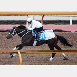 昨年②着馬がさらにパワーアップ