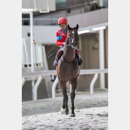 仕上がりは完璧