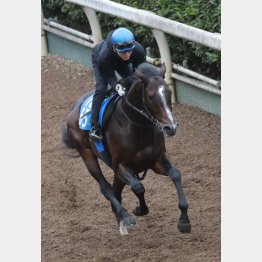 今なら重賞でも勝負になる