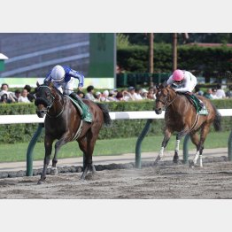 レベルが高かったエルムＳで文句なしのＶ