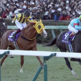 【市川の日曜競馬コラム・アルゼンチン共和国杯】