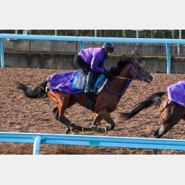 状態は前走以上