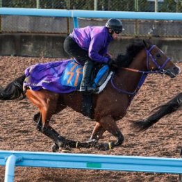 【木津の日曜競馬コラム・アルゼンチン共和国杯】