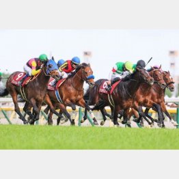 昨年の目黒記念を５８．５㌔でＶ