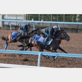 今週の追い切りでは素軽い動き