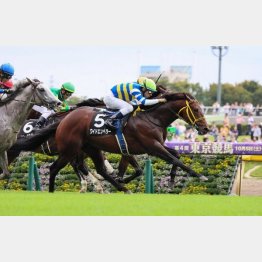 昇仙峡Ｓは上がり32秒８