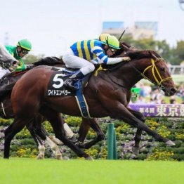 【橘の日曜競馬コラム・アルゼンチン共和国杯】