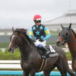 【橘の日曜競馬コラム・アルゼンチン共和国杯】